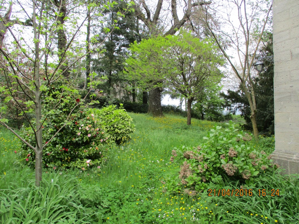 Viale Roma,Piancastagnaio,Siena,Toscana,Italia 53025,Appartamenti,Viale Roma,1166