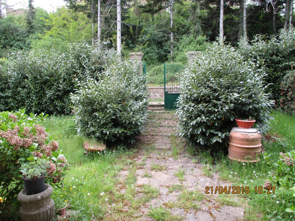 Viale Roma,Piancastagnaio,Siena,Toscana,Italia 53025,Appartamenti,Viale Roma,1166