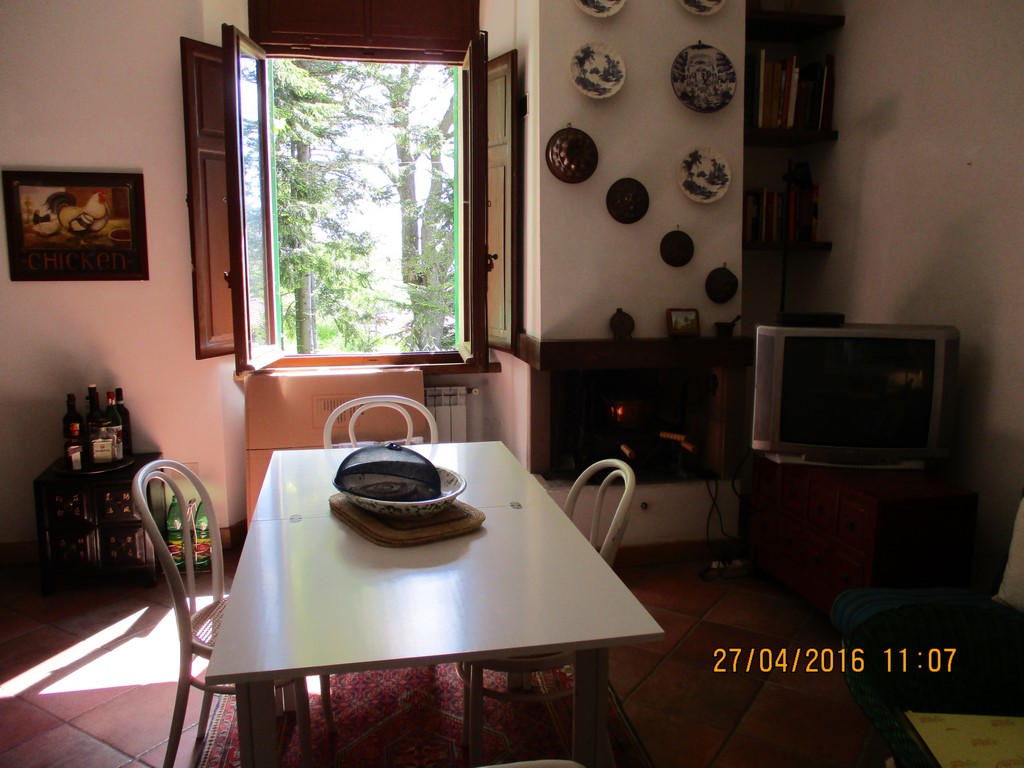 Viale Roma,Piancastagnaio,Siena,Toscana,Italia 53025,Appartamenti,Viale Roma,1166