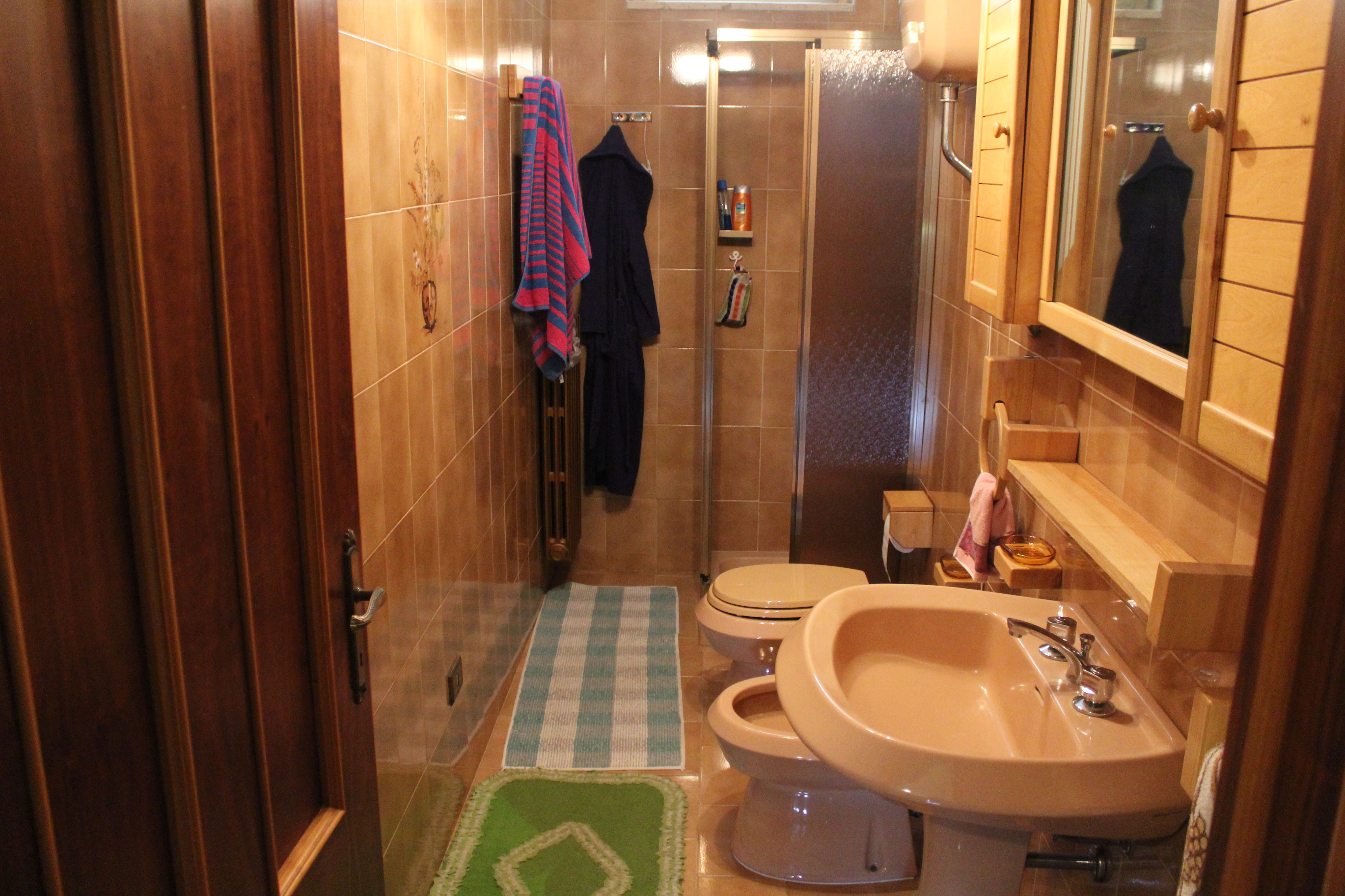 loc. Saragiolo,Piancastagnaio,Siena,Toscana,Italia 53025,3 Stanze da Letto Stanze da Letto,2 BagniBagni,Appartamenti,loc. Saragiolo,1411