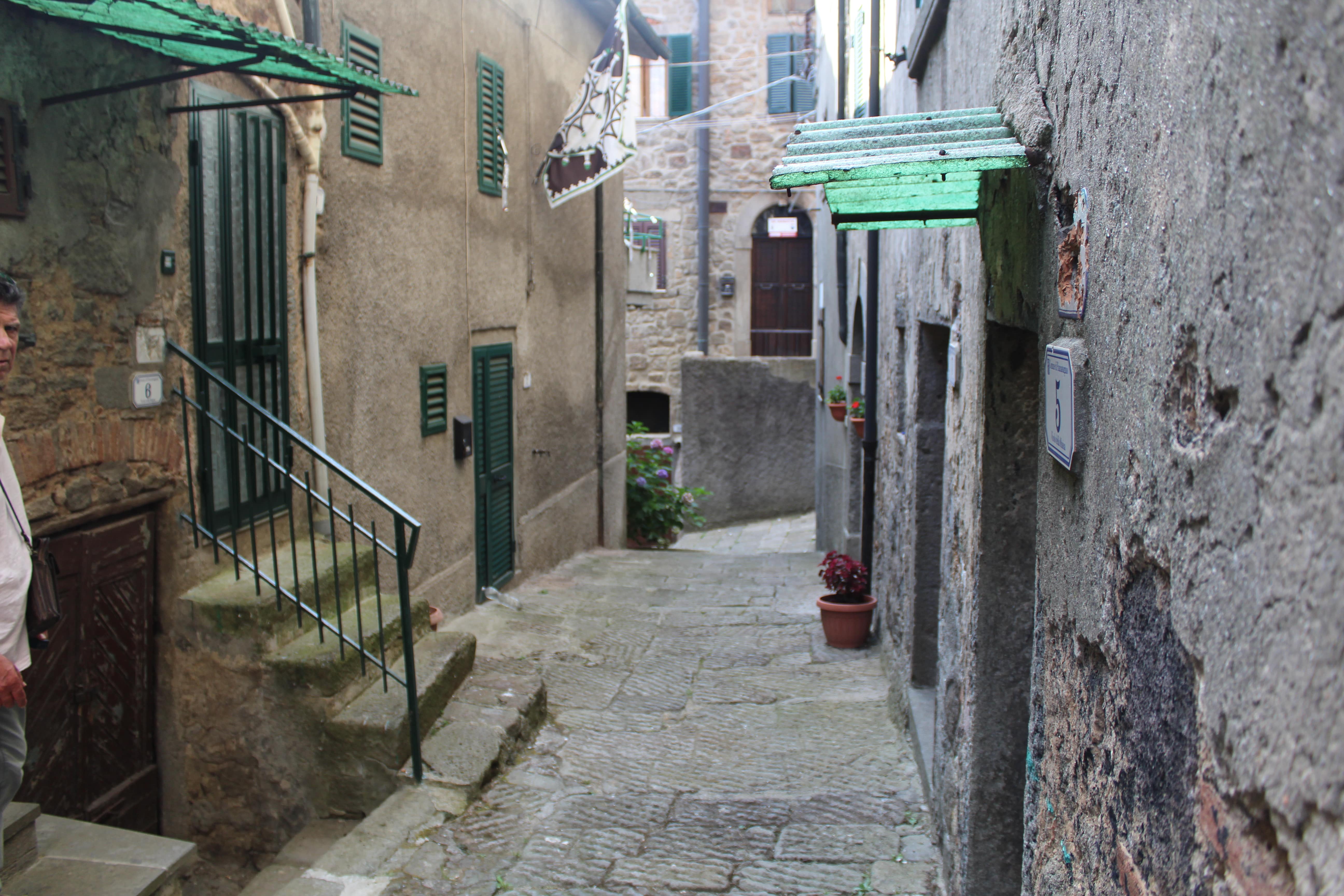 Piancastagnaio,Siena,Toscana,Italia 53025,Case indipendenti,1461