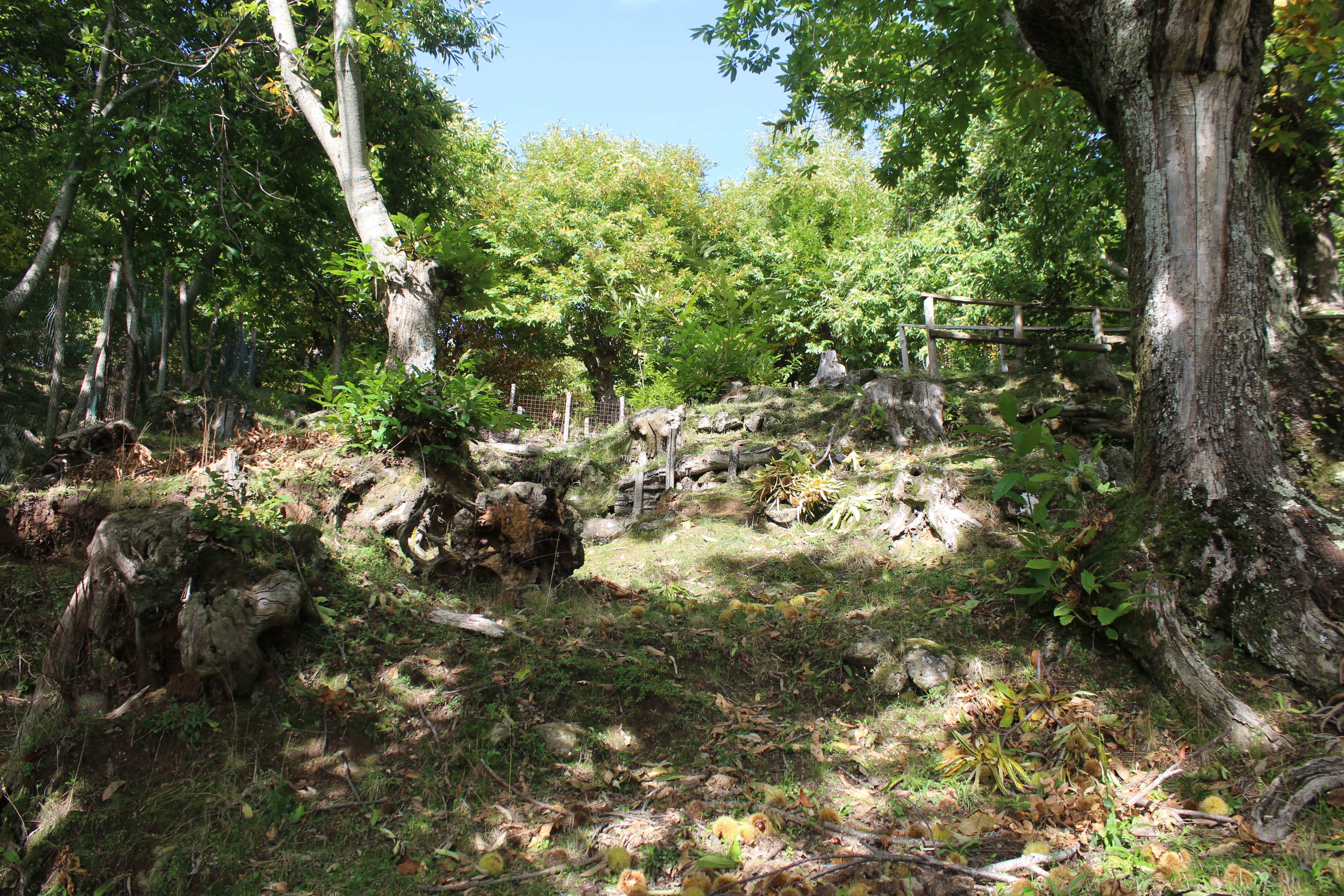 immobile vacanze montagna toscana  maremma