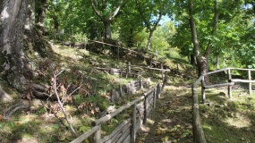 immobile vacanze montagna toscana  maremma