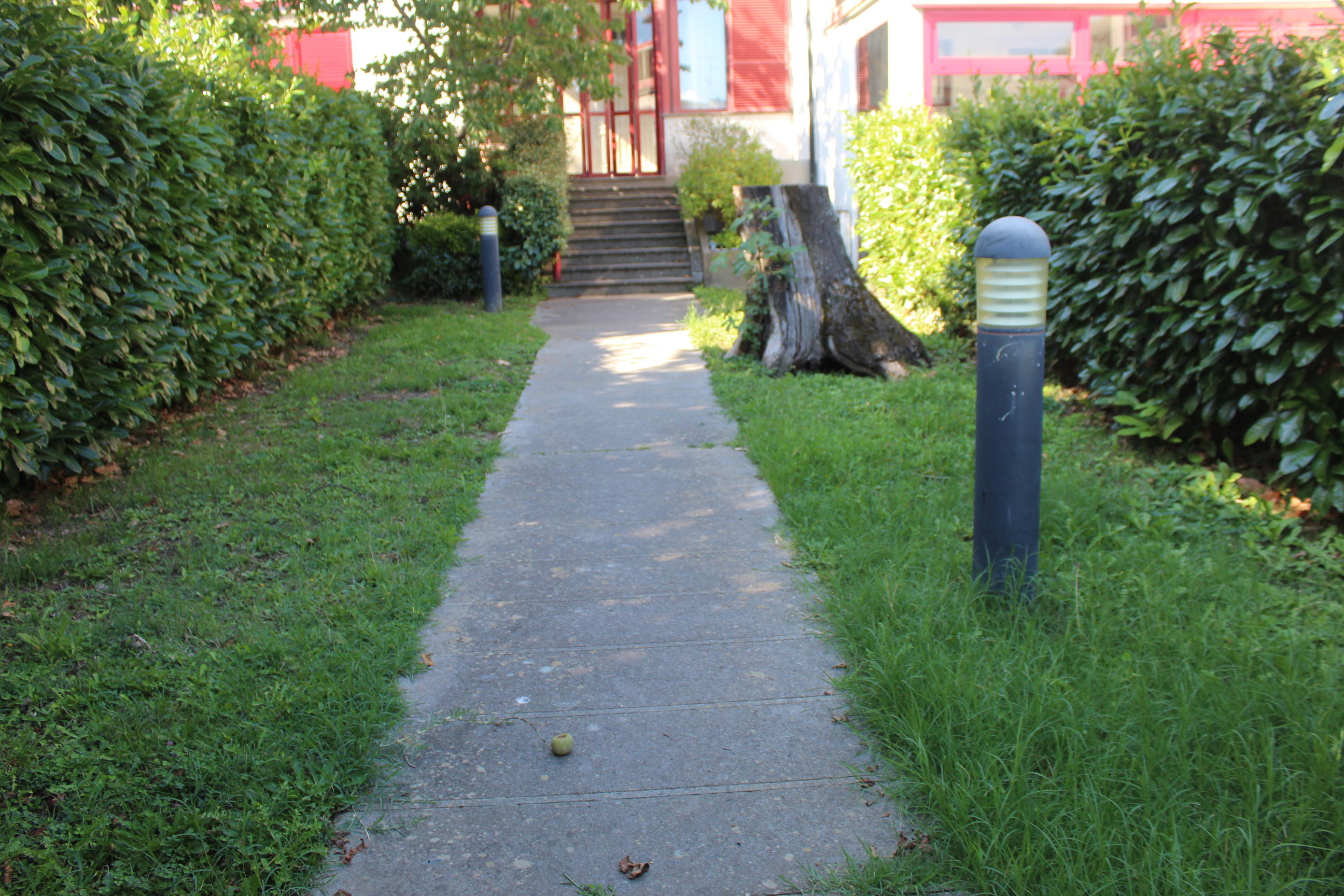 342 VIA DEI CASTAGNI,Piancastagnaio,Siena,Toscana,Italia 53025,Terra Tetto,VIA DEI CASTAGNI,3,1518