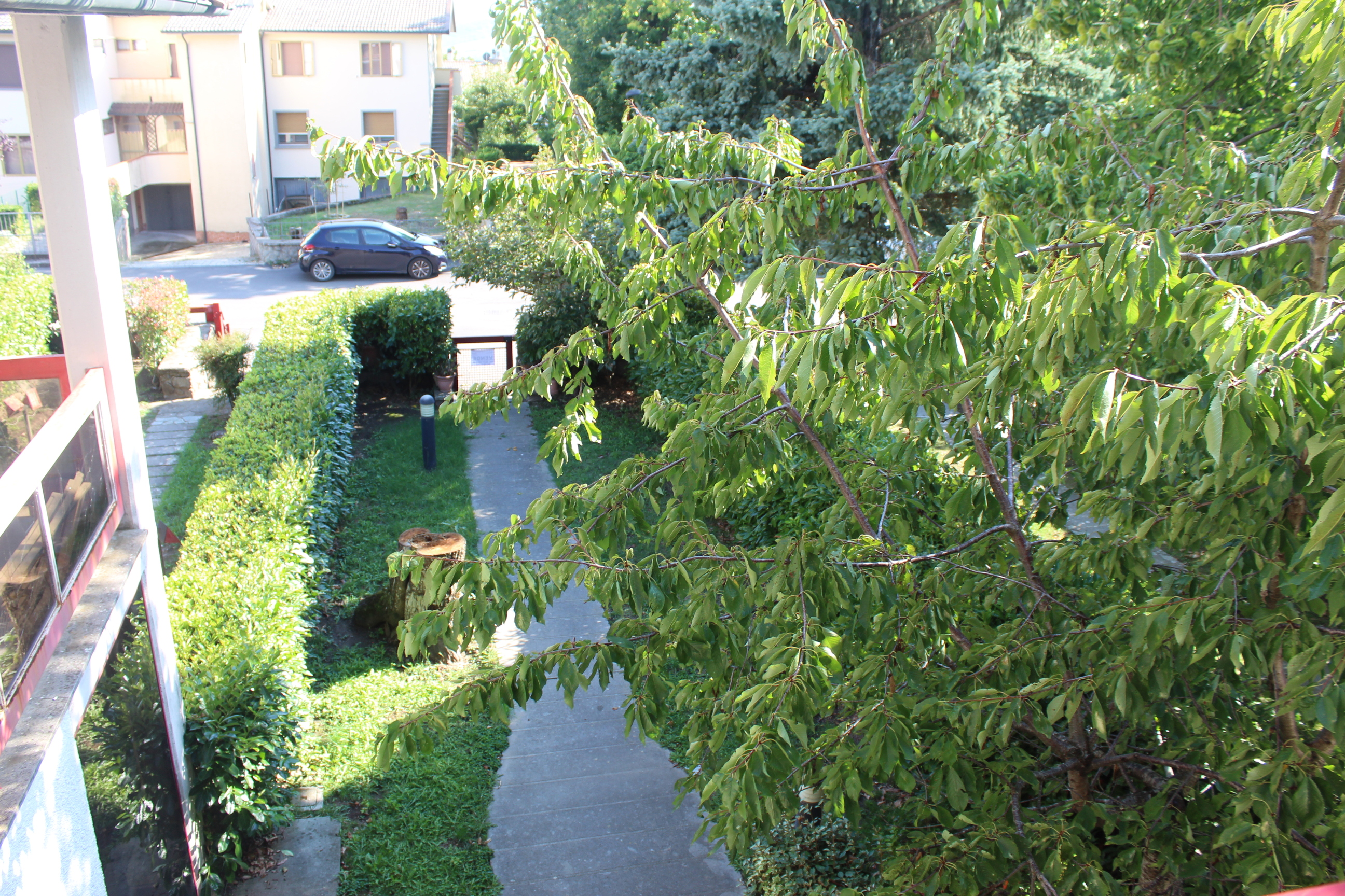 342 VIA DEI CASTAGNI,Piancastagnaio,Siena,Toscana,Italia 53025,Terra Tetto,VIA DEI CASTAGNI,3,1518