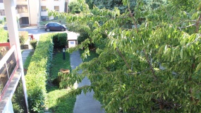 342 VIA DEI CASTAGNI,Piancastagnaio,Siena,Toscana,Italia 53025,Terra Tetto,VIA DEI CASTAGNI,3,1518