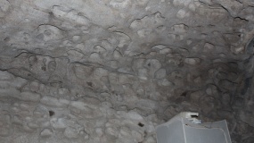 20 VIA CAVALLUCCI,Piancastagnaio,Siena,Toscana,Italia 53025,2 Stanze da Letto Stanze da Letto,1 BagnoBagni,Appartamenti,VIA CAVALLUCCI,1520