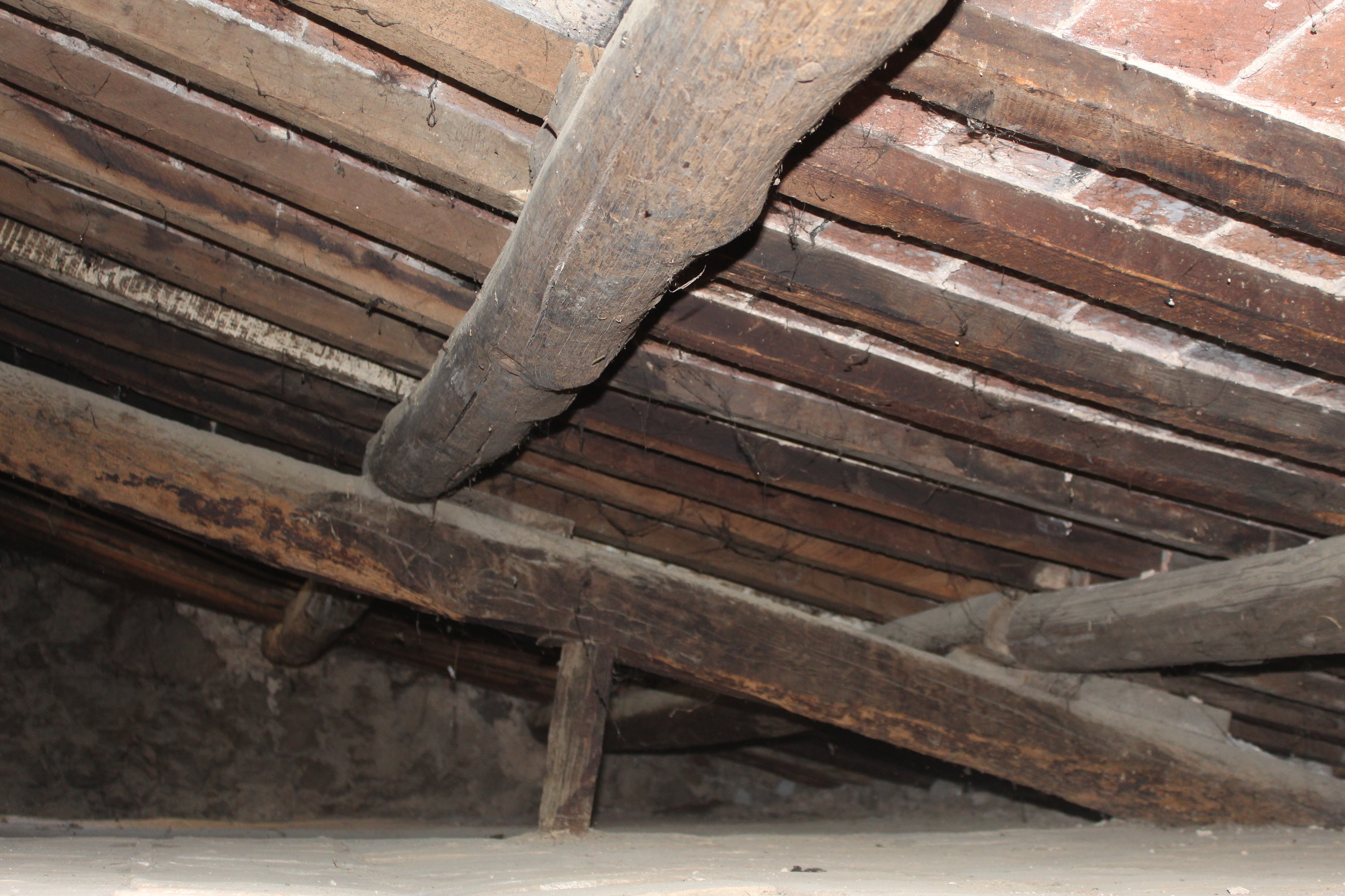 110 VIA DELLA PERGOLA,Piancastagnaio,Siena,Toscana,Italia 53025,2 Stanze da Letto Stanze da Letto,1 BagnoBagni,Appartamenti,VIA DELLA PERGOLA,1529