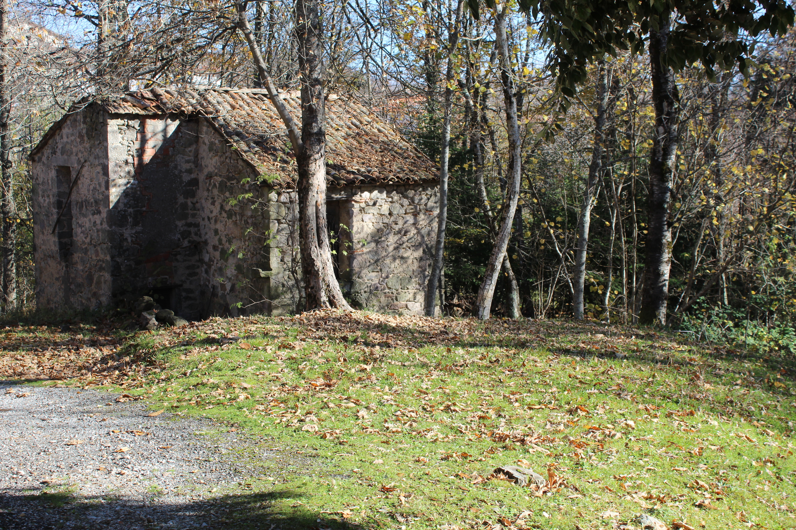 60B VIA PIANACCE LOC SARAGIOLO,Piancastagnaio,Siena,Toscana,Italia 53025,Case indipendenti,VIA PIANACCE LOC SARAGIOLO,1530