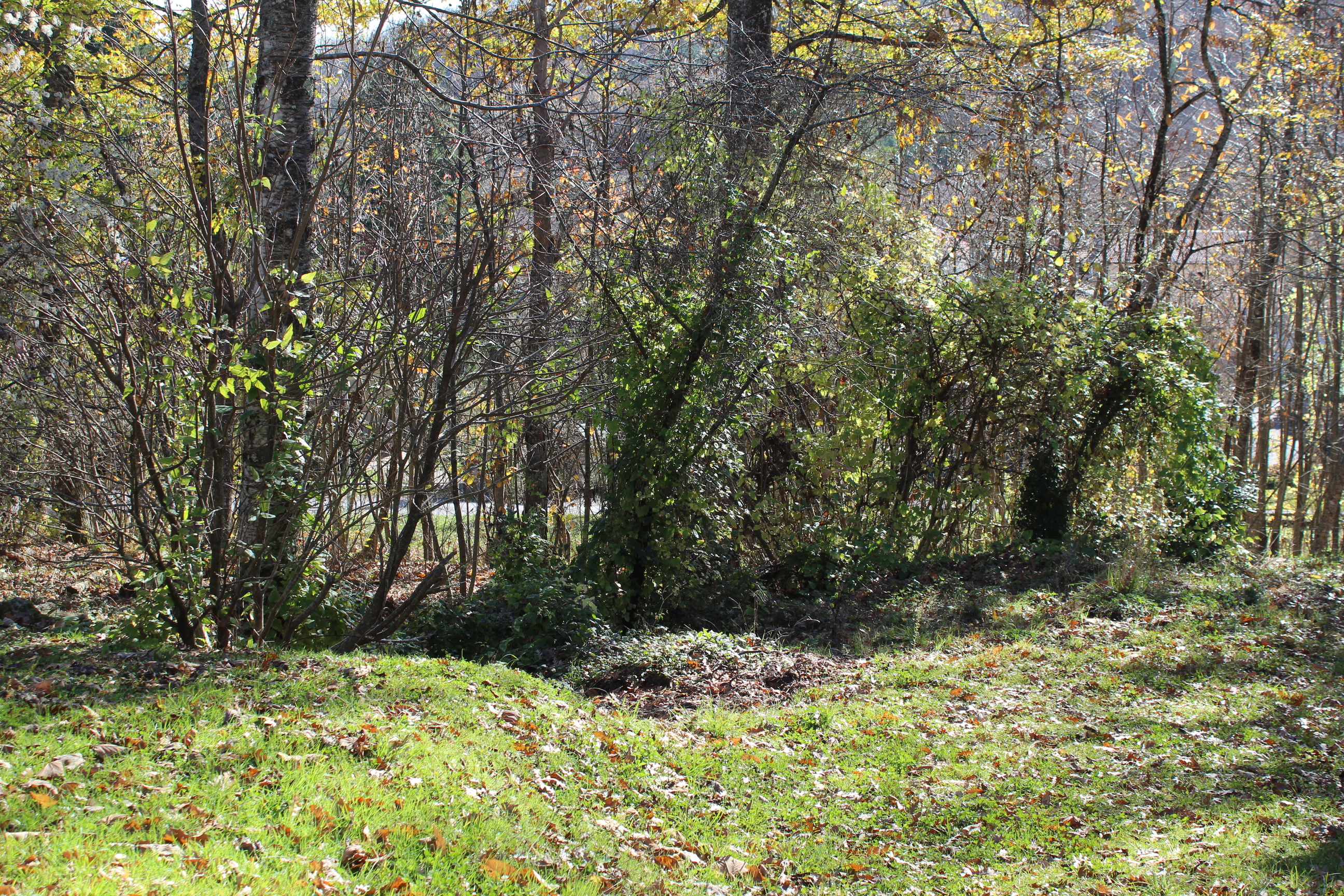 60B VIA PIANACCE LOC SARAGIOLO,Piancastagnaio,Siena,Toscana,Italia 53025,Case indipendenti,VIA PIANACCE LOC SARAGIOLO,1530