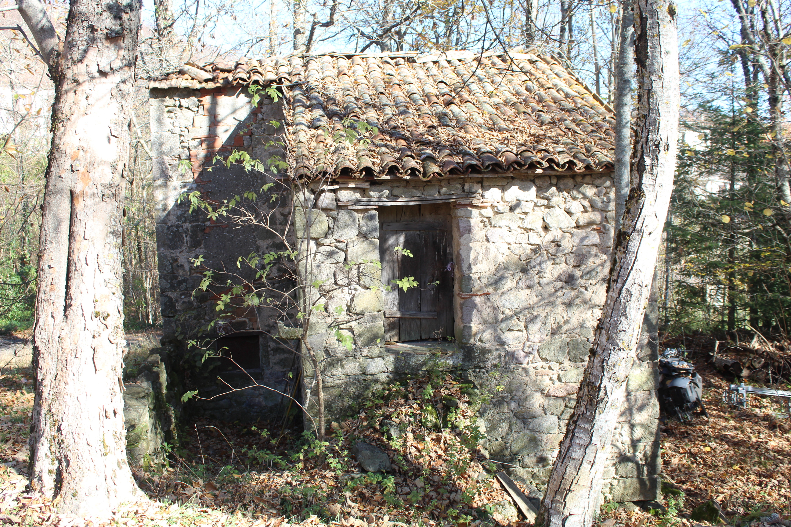 60B VIA PIANACCE LOC SARAGIOLO,Piancastagnaio,Siena,Toscana,Italia 53025,Case indipendenti,VIA PIANACCE LOC SARAGIOLO,1530