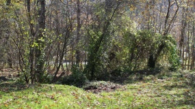 60B VIA PIANACCE LOC SARAGIOLO,Piancastagnaio,Siena,Toscana,Italia 53025,Case indipendenti,VIA PIANACCE LOC SARAGIOLO,1530