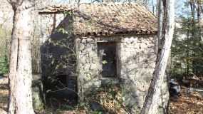 60B VIA PIANACCE LOC SARAGIOLO,Piancastagnaio,Siena,Toscana,Italia 53025,Case indipendenti,VIA PIANACCE LOC SARAGIOLO,1530