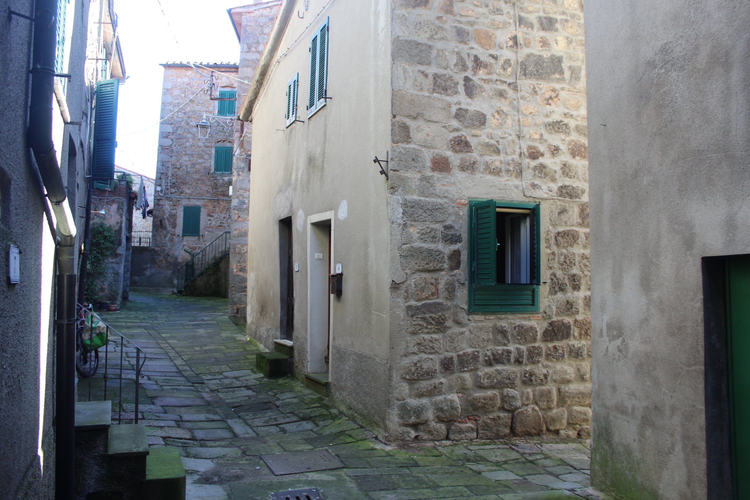 68 VIA DELLA PERGOLA,Piancastagnaio,Siena,Toscana,Italia 53025,Case indipendenti,VIA DELLA PERGOLA,1536