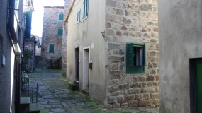 68 VIA DELLA PERGOLA,Piancastagnaio,Siena,Toscana,Italia 53025,Case indipendenti,VIA DELLA PERGOLA,1536