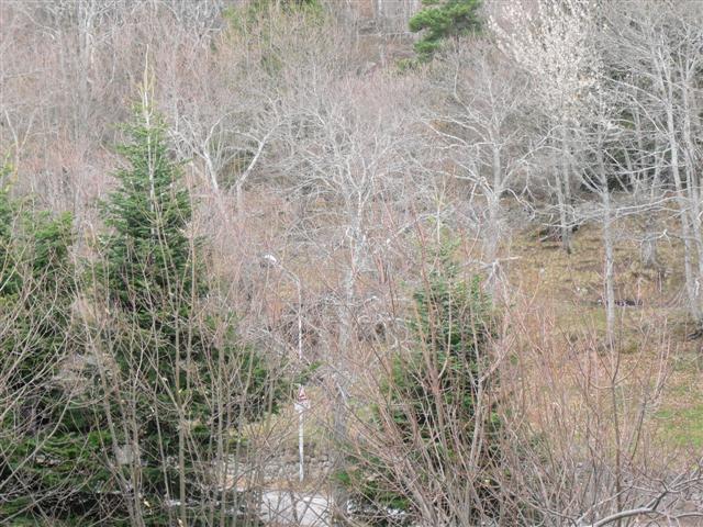 Località Bagnolo,Santa Fiora,Grosseto,Toscana,Italia 58037,Terra Tetto,Località Bagnolo,1056