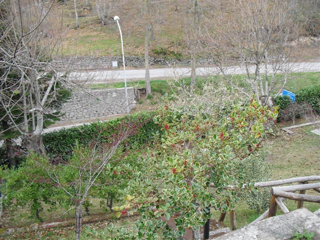 Località Bagnolo,Santa Fiora,Grosseto,Toscana,Italia 58037,Terra Tetto,Località Bagnolo,1056