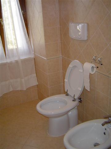 Proceno,Viterbo,Lazio,Italia 01020,Appartamenti,1058