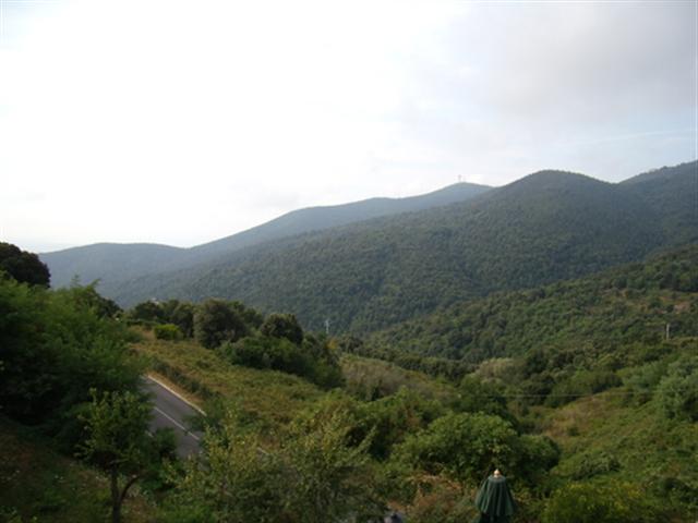 Località Tirli,Castiglione della Pescaia,Grosseto,Toscana,Italia 58043,Appartamenti,Località Tirli,1062