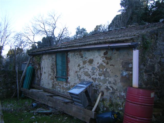Località Tirli,Castiglione della Pescaia,Grosseto,Toscana,Italia 58043,Ville e casali,Località Tirli,1064