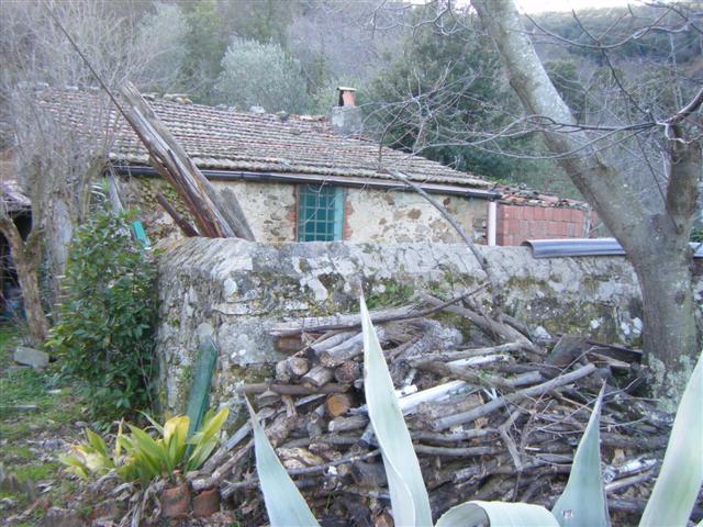 Località Tirli,Castiglione della Pescaia,Grosseto,Toscana,Italia 58043,Ville e casali,Località Tirli,1064